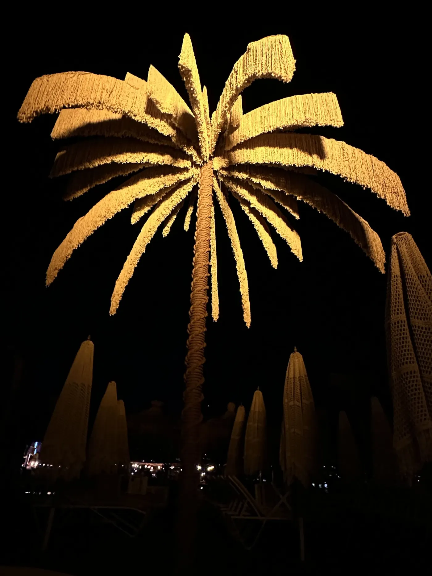 Palm tree illuminated at Reana Beach Bar, Gölköy